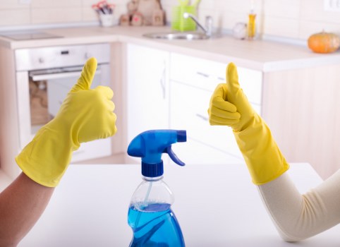 Deep cleaning equipment and supplies used in Edgware homes and offices