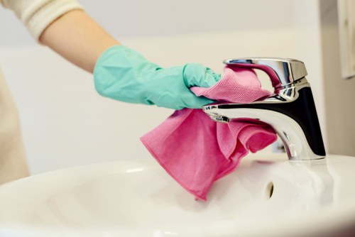 Professional steam carpet cleaning for homes in Edgware