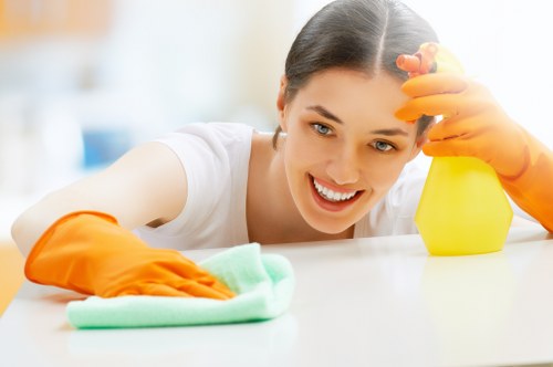 Professional window cleaning for homes and businesses in Edgware
