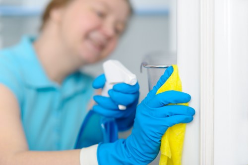 Carpet cleaning service for a home in Edgware