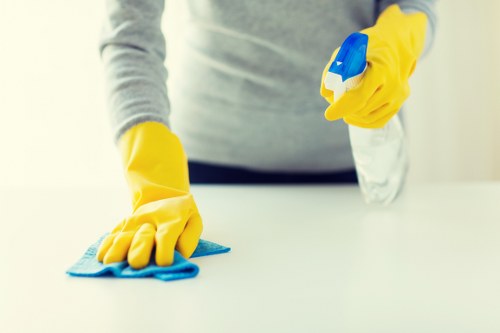Rug and carpet stain cleaning for local properties in Edgware