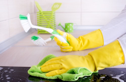 Cleaned kitchen surfaces and windows after renovation in Edgware